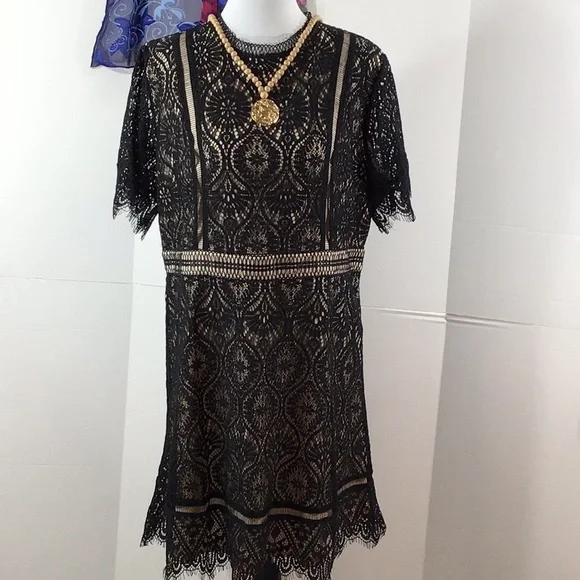 Hailey & Co black lace Malina dress 1X - Picture 1 of 13